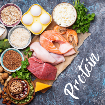 Focus On Food: Protein