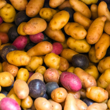 Diabetes Problem Food: Potatoes