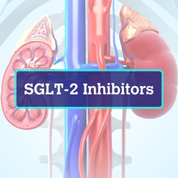 What Does a SGLT2 Inhibitor Do?