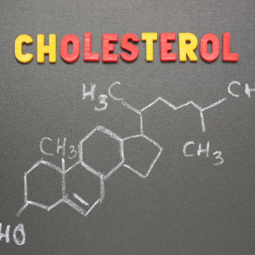 Diabetes Health: What is Cholesterol?